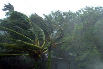 2000 displaced after mini cyclone hits Vavuniya