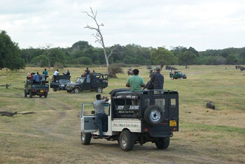 Visitors stranded inside Minneriya Park