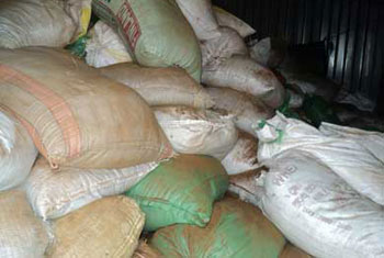 17 held preparing to export 100,000kg of refuse tea 