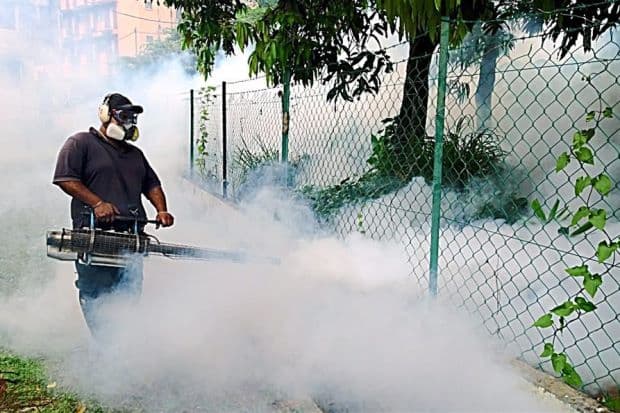 Dengue outbreak in Sri Lanka kills 225