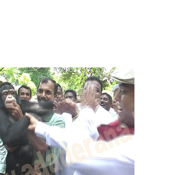 VIDEO: Chimp takes a shot at Basil