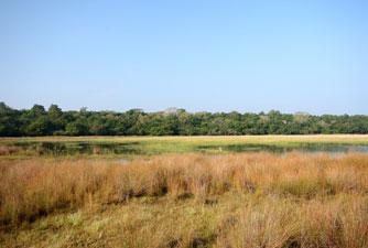 Environment Ministry to probe Wilpattu issue   
