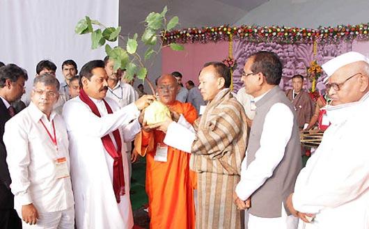 Bodhi sapling to be relocated
