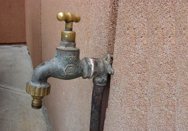 No water at Cardiology Unit, Colombo: Problem rectified, says Director