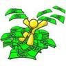 Lanka among fastest growing millionaire populations - report