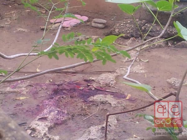 VIDEO: Three members of same family murdered, 2 critical in Jaffna
