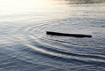 Two brothers drown after boat capsizes 