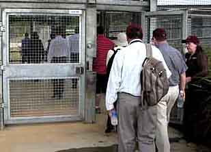 Australia sends back Tamil asylum seekers