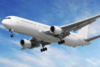Lankan cricketer tries to open plane door at 35,000ft