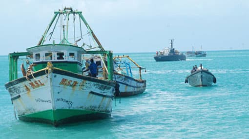 Sri Lankan govt urged to release all Tamil Nadu fishermen