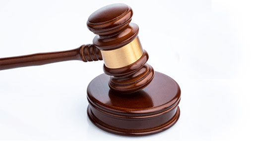 Indian kidney racket suspects remanded