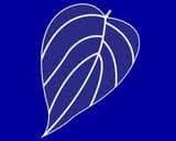 UPFA wins LG election in a landslide