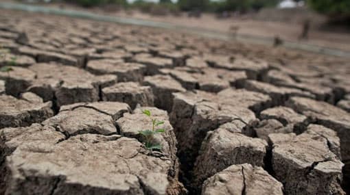 Drought affects thousands of families in North