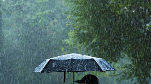 Showers expected in several districts