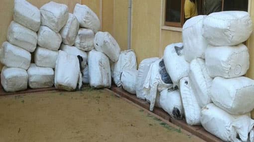 1,232 kg of Beedi leaves found floating at sea