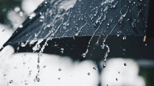Showers expected in several areas