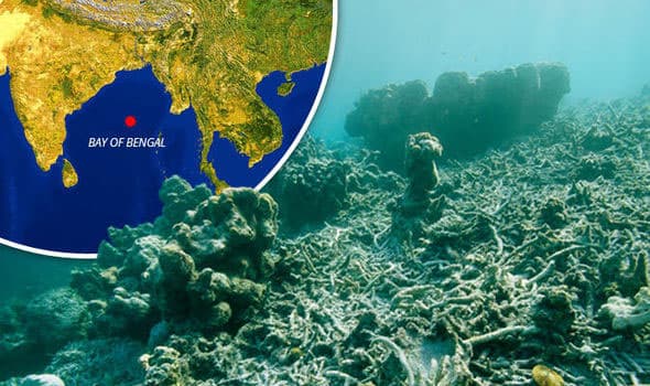 MEPA warns over ‘dead zone’ forming in Bay of Bengal