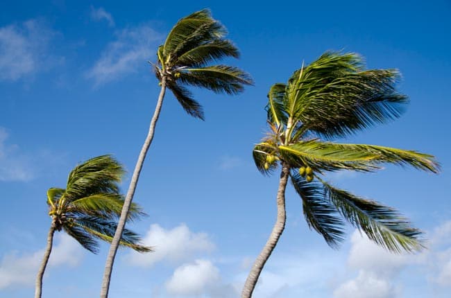 Strong winds to subside in the coming days