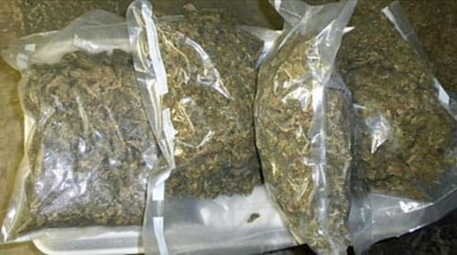 Kerala Cannabis worth Rs 25 mn seized