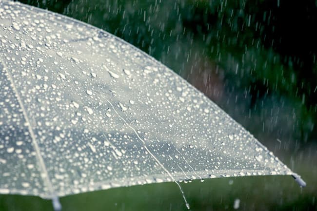 Spells of showers in several provinces - Met. Dept.