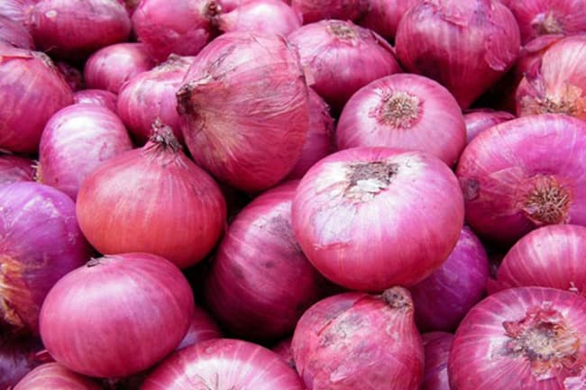 Import levy on big onions hiked
