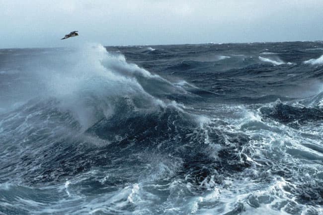 Met. Dept. warns of strong winds and rough seas