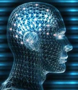 US IQ study slammed as racist