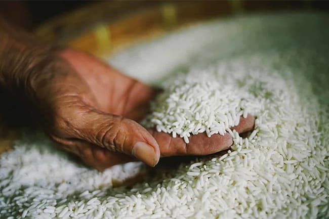 6,000 metric tons of rice to be imported from Pakistan