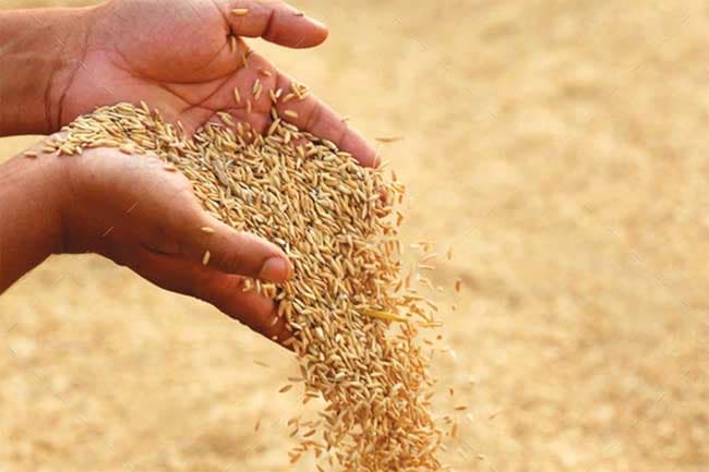 Govt to resume registration of paddy mill owners