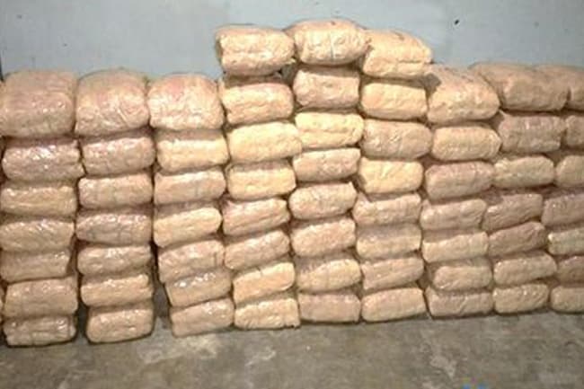 Navy nab suspect with Kerala Cannabis worth over Rs. 60M