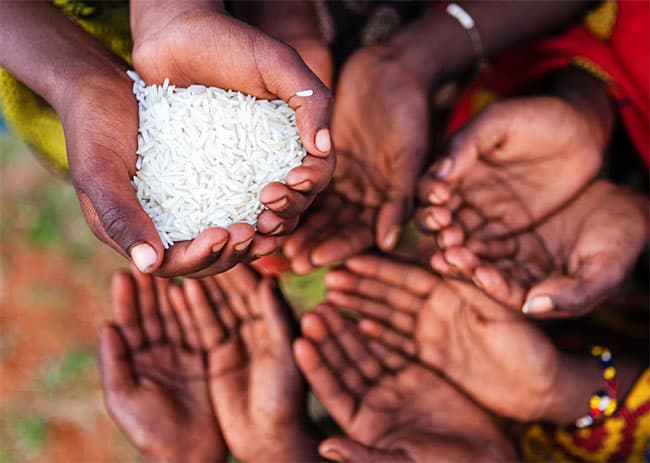 17% of Sri Lanka’s population in moderate acute food insecurity – report