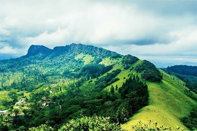 At least 180 university students rescued after getting lost in Hanthana mountains 