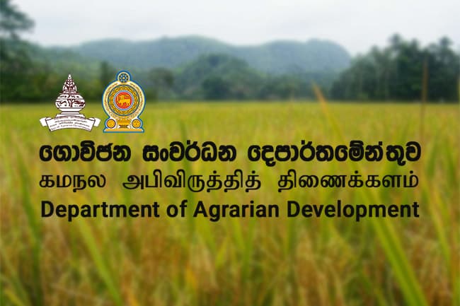 Productivity & Marketing Division to be discontinued due to ‘unproductivity’