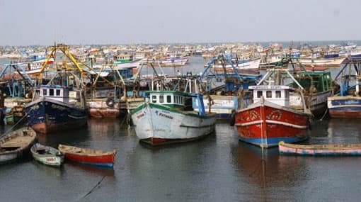 Rameswaram fishermen launch indefinite strike