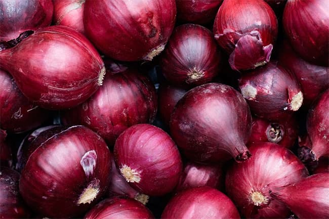 Sri Lanka explores opportunity to import big onions from Egypt