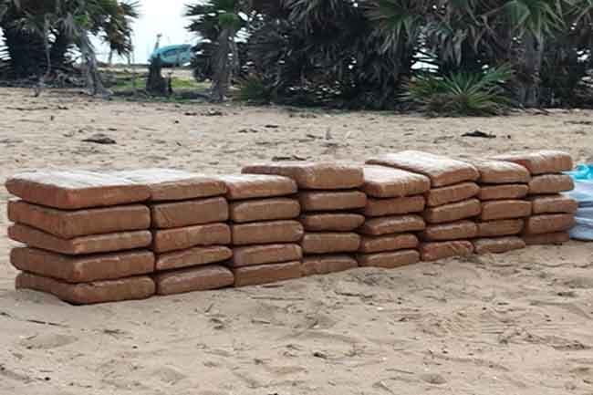 85 kg of Kerala cannabis found buried at beach in Jaffna
