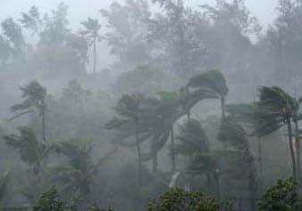 Rains in Nuwara Eliya damage houses