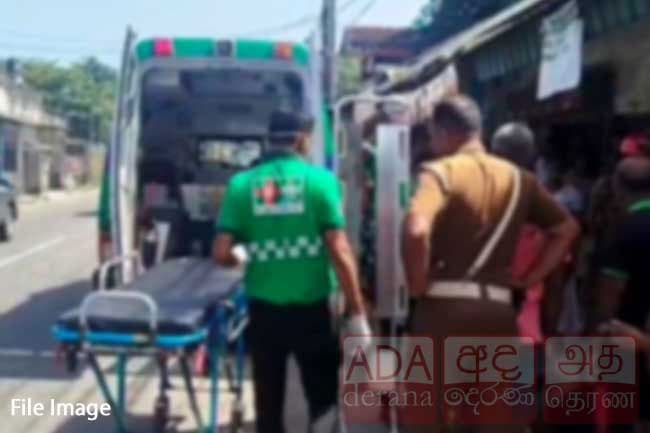 Five killed in separate road accidents over the past 24 hours