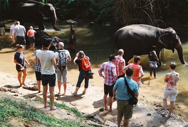 Sri Lanka records highest-ever tourist arrivals in January 2026