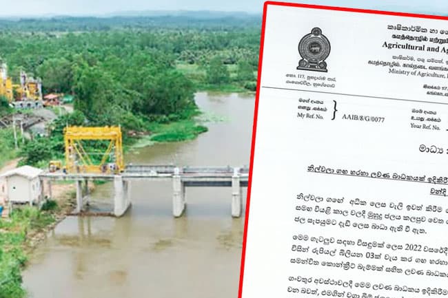 Govt to pay Rs. 1,200 mln for crop damage caused by Nilwala River salinity barrier