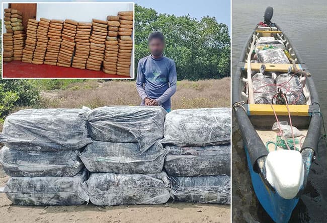 Suspect nabbed with 368kg of foreign-origin cannabis worth over Rs. 73 million