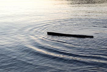 Two brothers drown after boat capsizes 