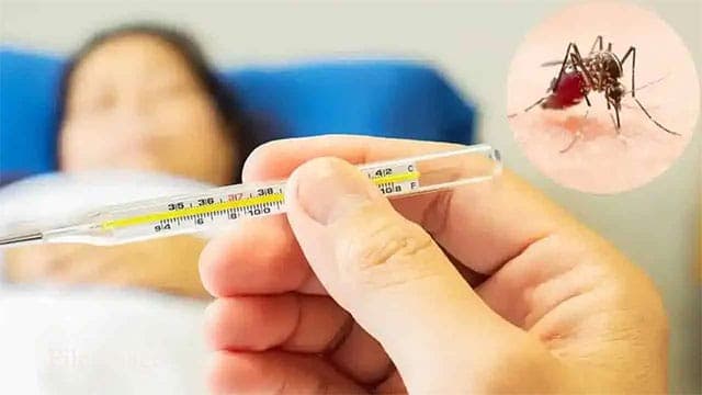 Public urged to intensify dengue prevention measures amid rainy weather
