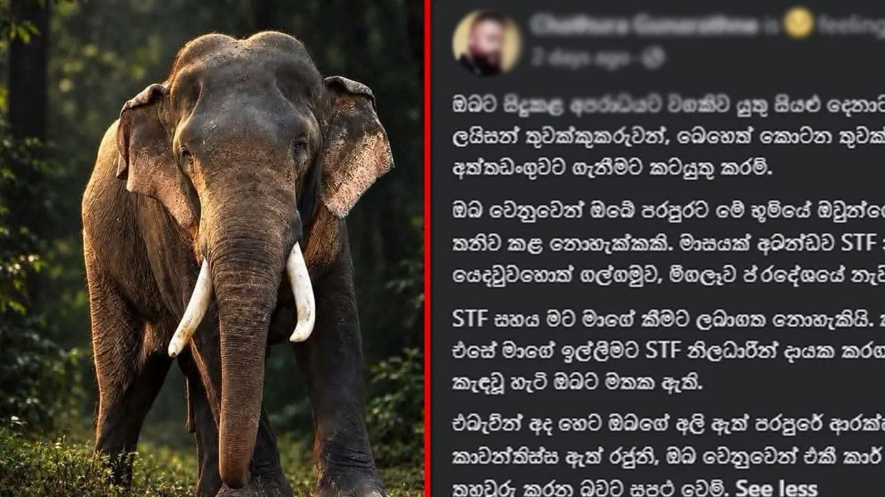“I will fight to protect their future”: Wildlife ranger vows justice for Kawanthissa 