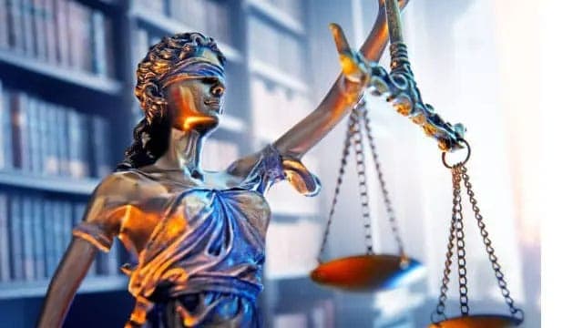 Oral submissions concluded in petitions challenging 'Protection of the State from Terrorism Bill'