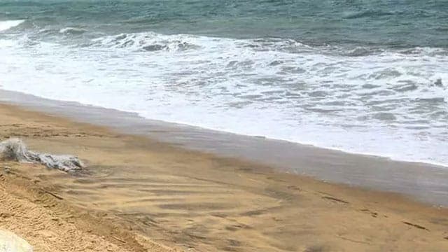 Two Indian dhows seized in suspected Kendu leaf smuggling attempt off Udappuwa