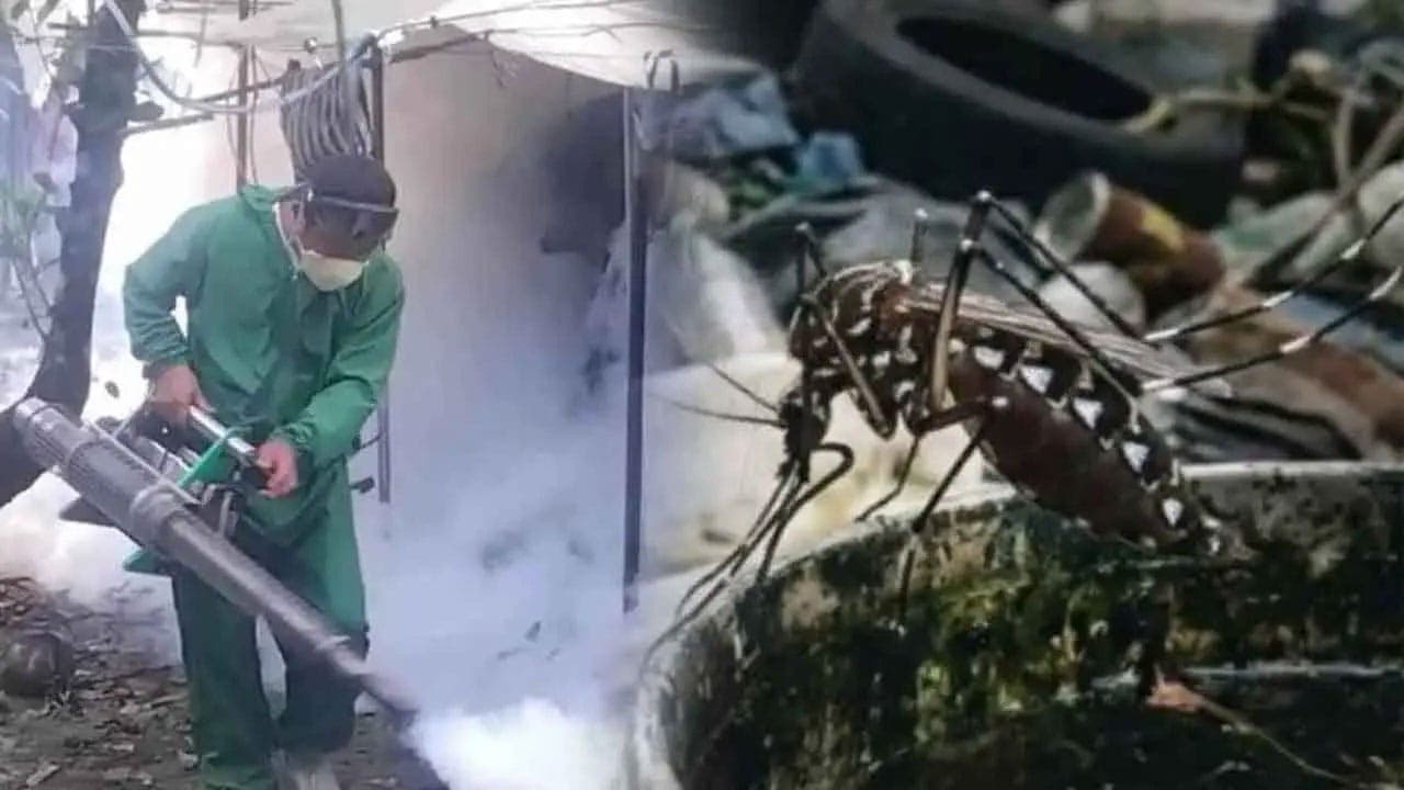 Over 104,000 dengue cases confirmed so far this year