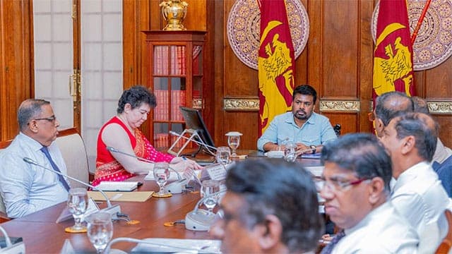 President discusses measures to attract strong investors to Sri Lanka’s mineral industry