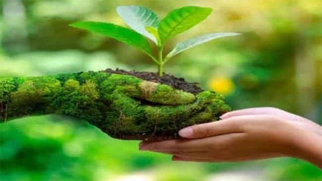 Five forests in Anuradhapura declared as reserves 