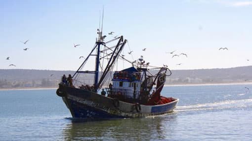 Eight behind bars for attempting to go to New Zealand by boat